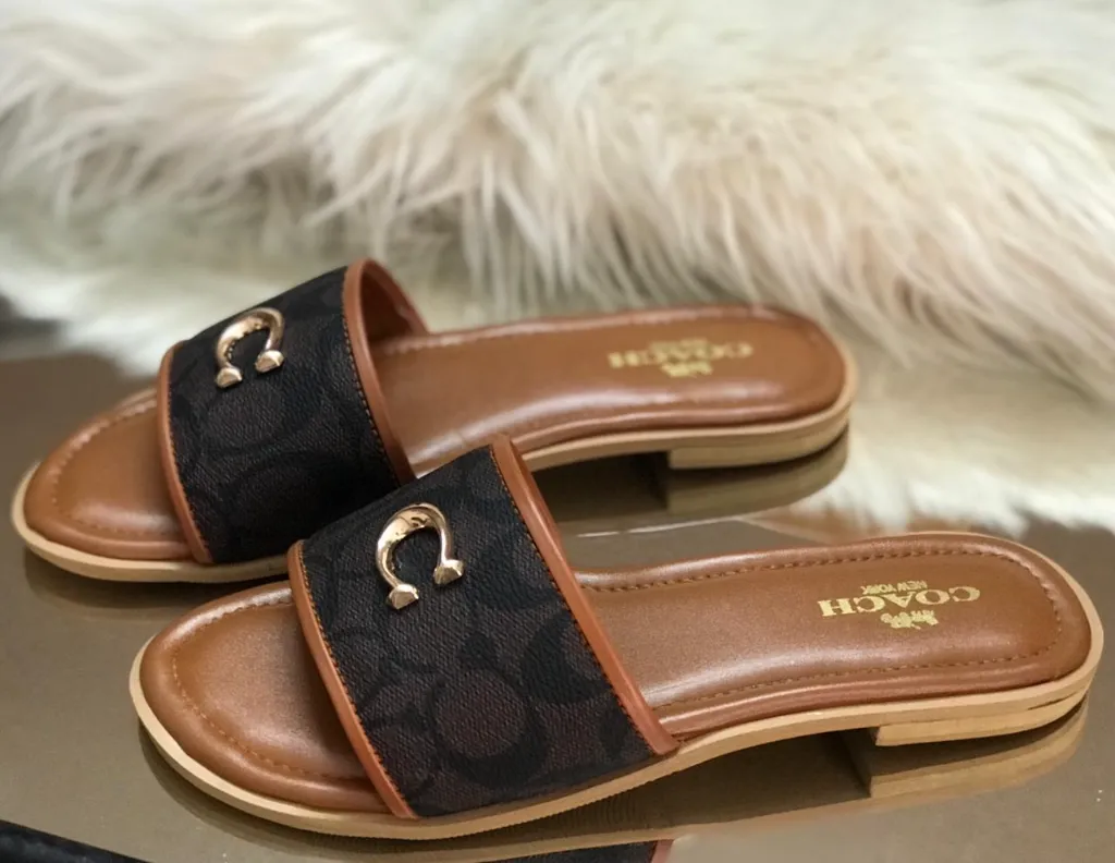 WhatsApp Image 2026-03-11 at 2.26.44 PM (1).webp